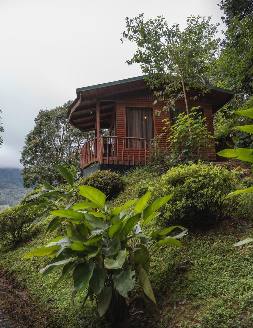 Cedrela Eco-Lodge & Restaurante Copey Екстериор снимка