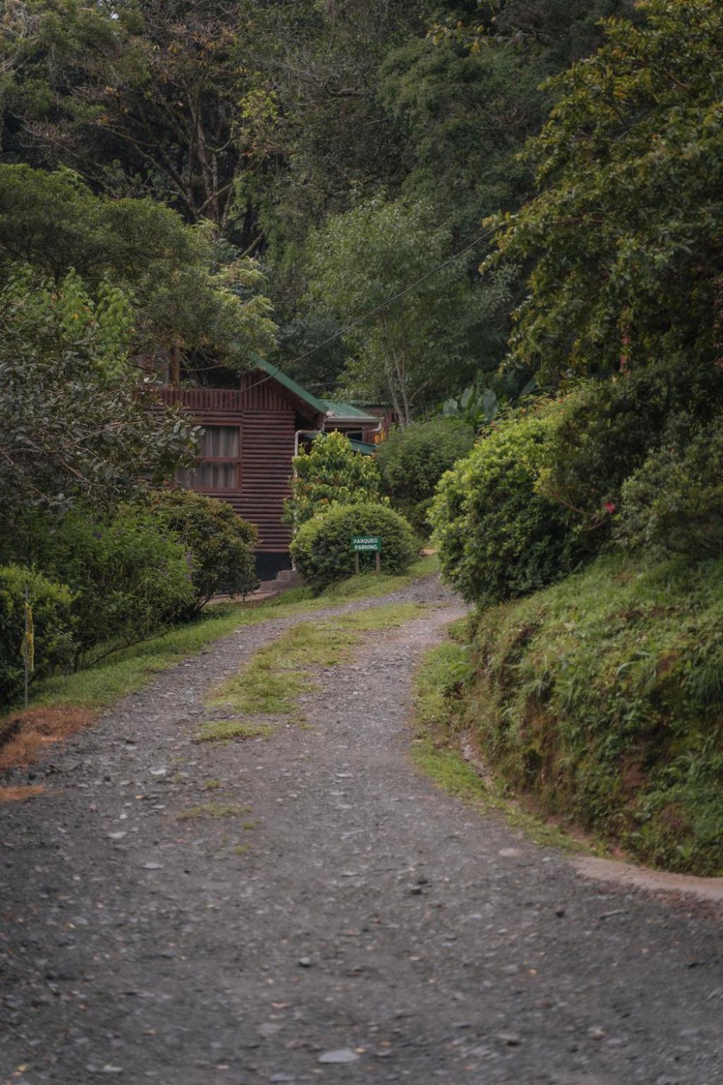 Cedrela Eco-Lodge & Restaurante Copey Екстериор снимка